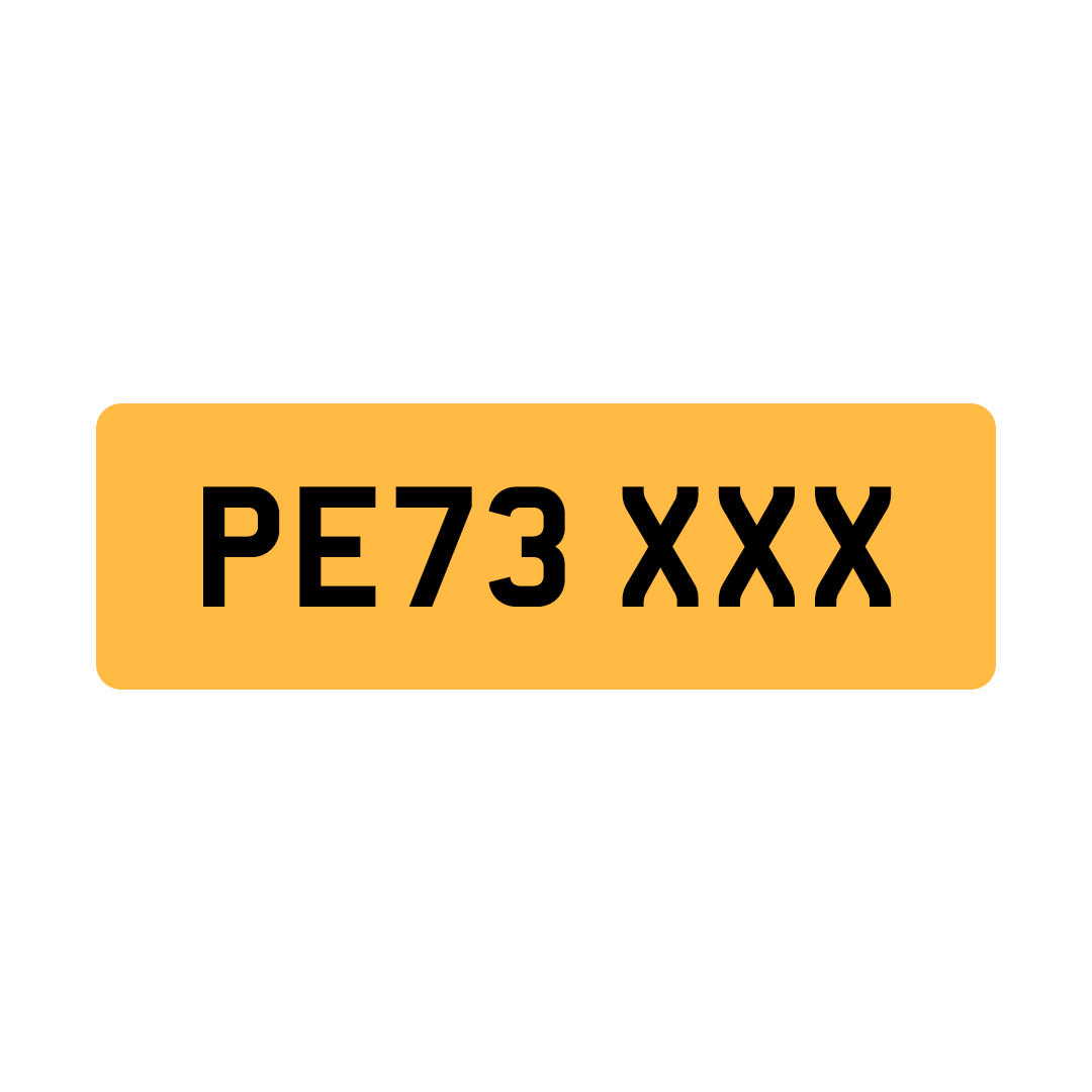 PE73 XXX