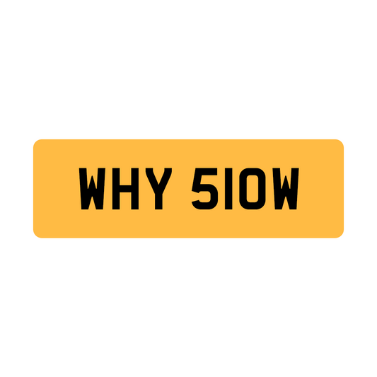 WHY SLOW