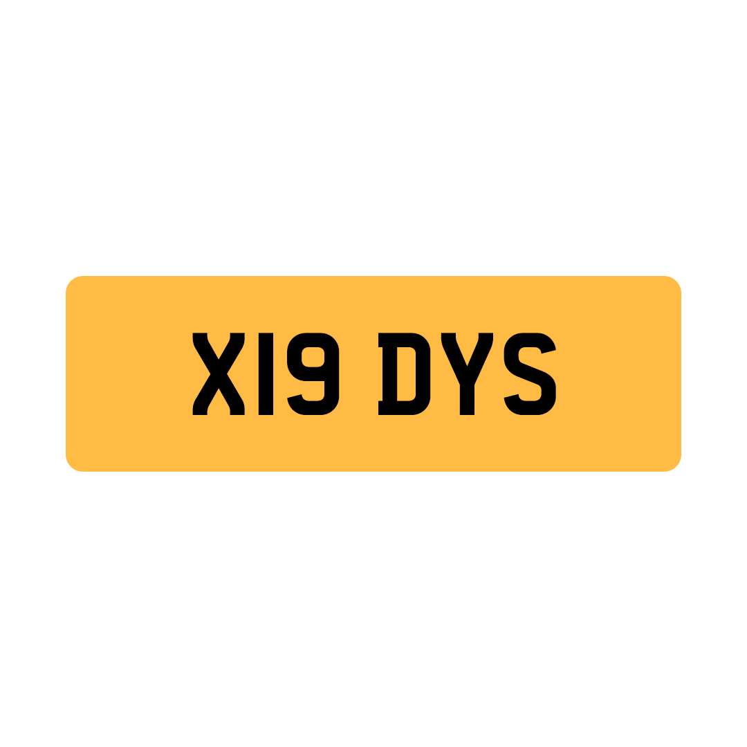 X19 DYS